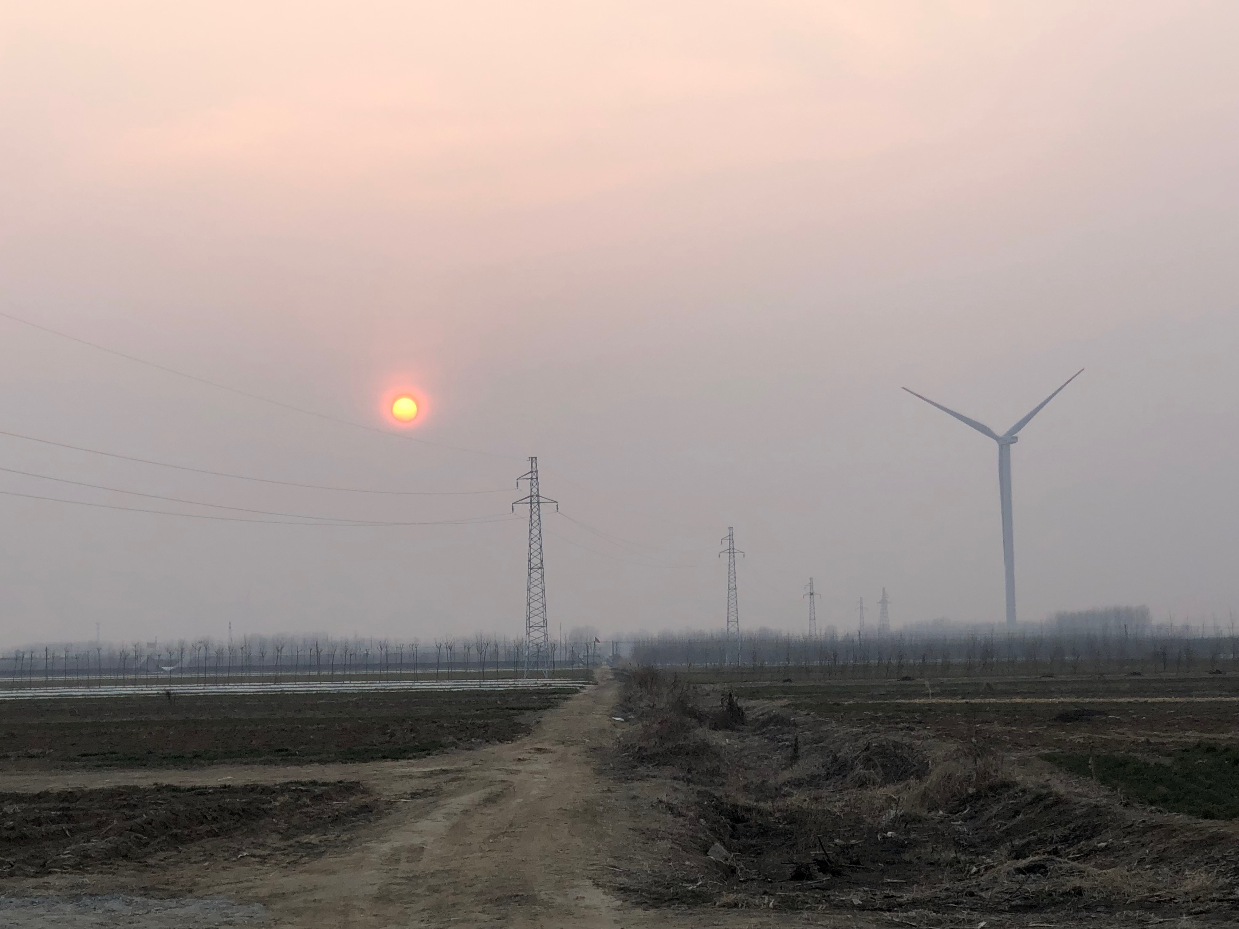 CD1FF7BFA39312D1D870480AE4DB2DEF